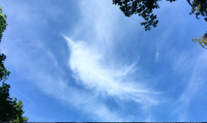 How to make your website