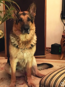 Satisfaction guaranteed