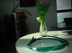 Audiophile cable standard series interconnect