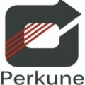Perkune Audiophile cables I best budget audiophile cables