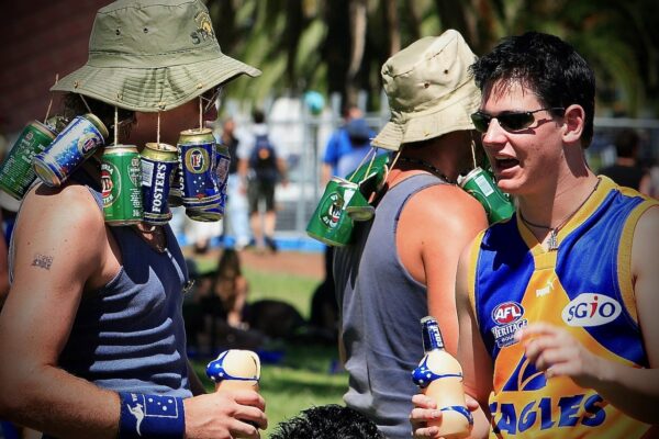 Nest budget audiophile cables I Professional service I Customer comments