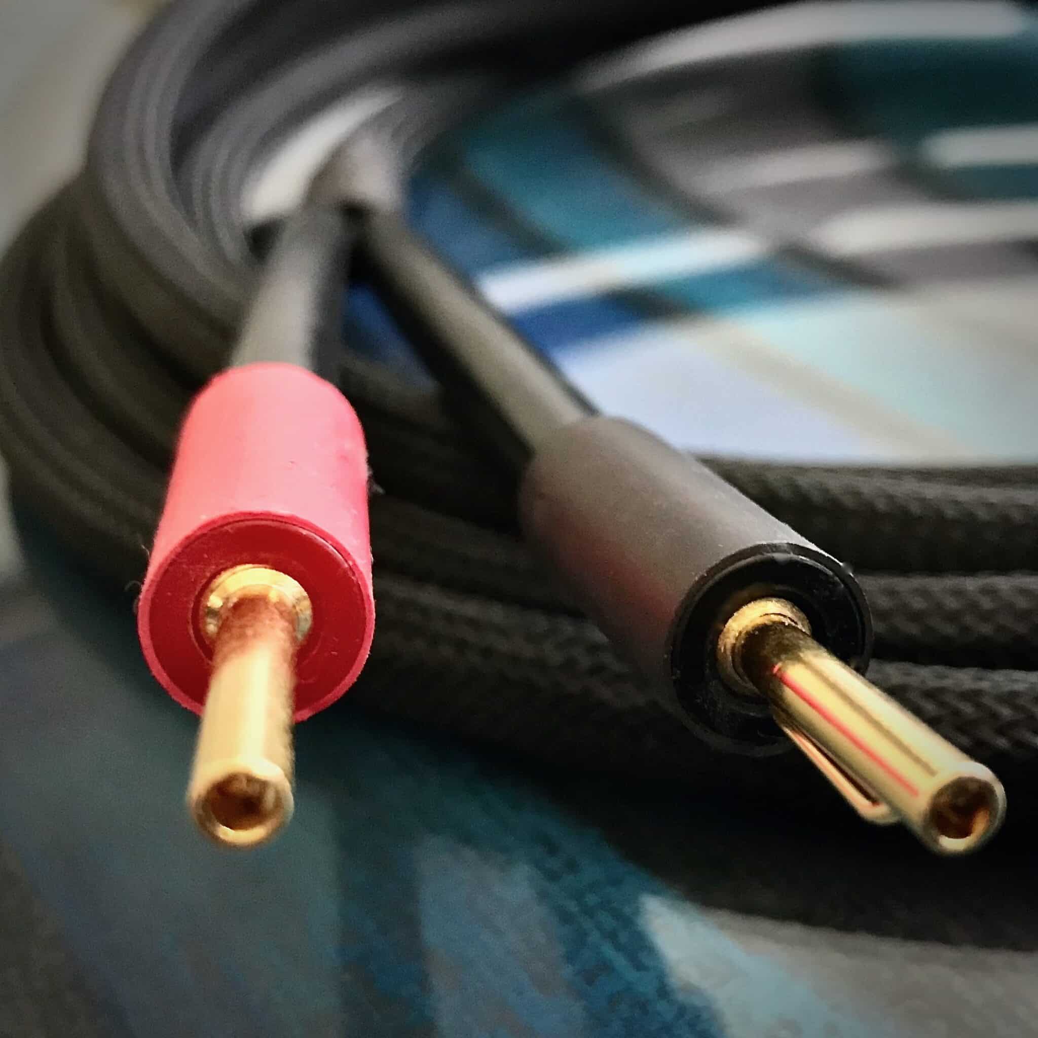 Matrix Intro speaker cable