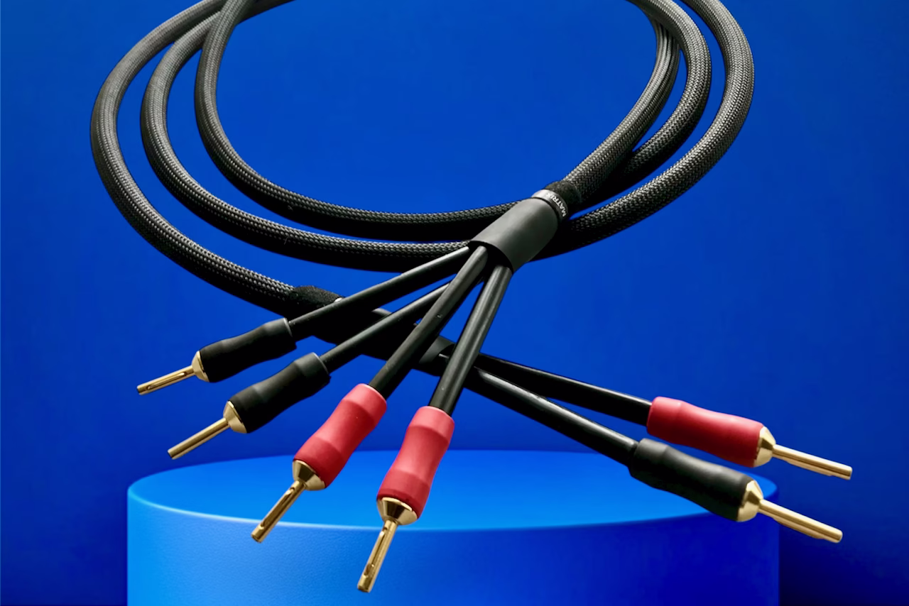 The Matrix Reference Pre speaker cable